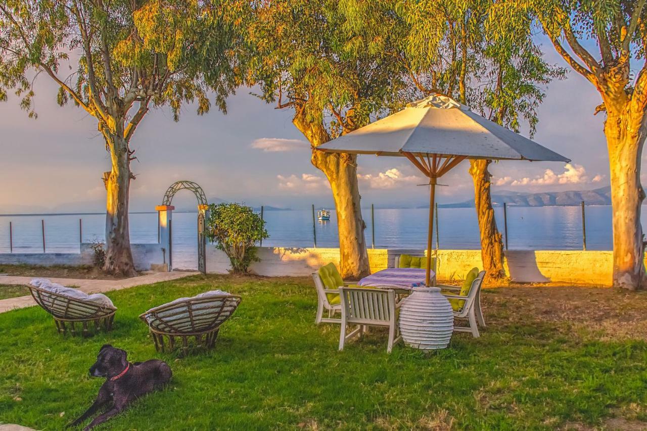 Lemami Seafront Bungalows Kavos Bagian luar foto