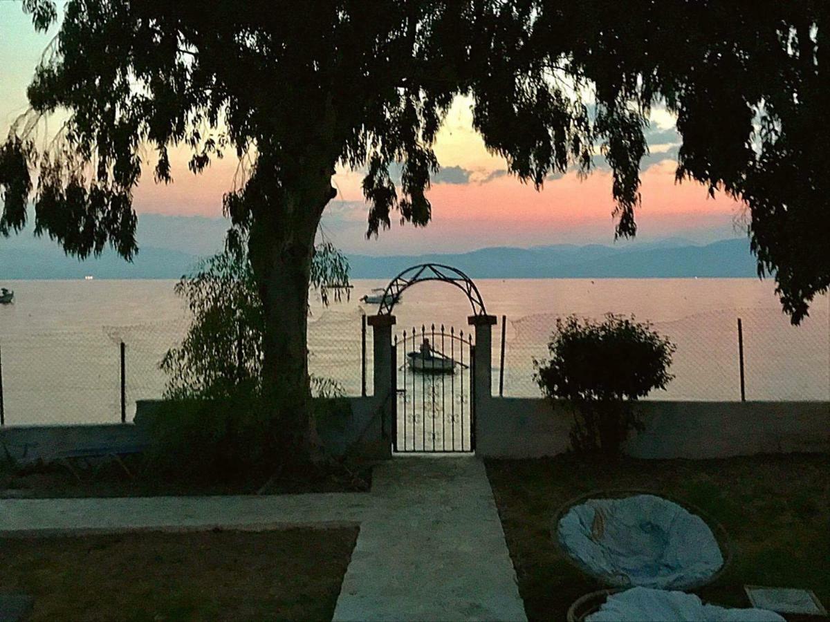 Lemami Seafront Bungalows Kavos Bagian luar foto